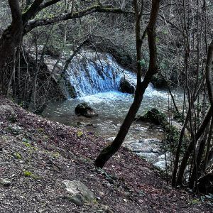 Frias/Tobera
