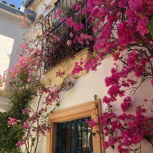 Andalucia