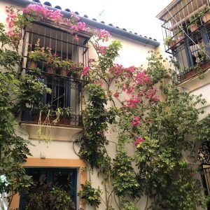 Andalucia